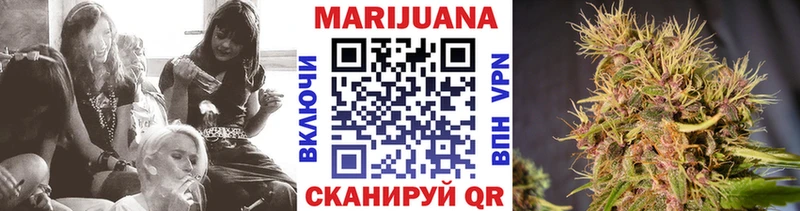 Бошки Шишки планчик Мурино